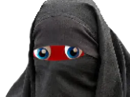 :mascotte_burka: