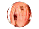 :orbitas4: