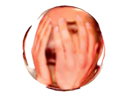 :orbitas4: