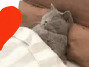 :Chadorlove2: