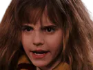 :hermione_pascontente:
