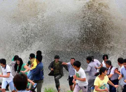 :tsunami: