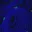Photo de profil de An0nyMouse