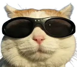 :chat_cool_: