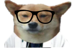 :Chien_medecin_corrige:
