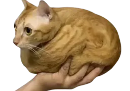 :chamain2: