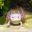 Photo de profil de Anabo
