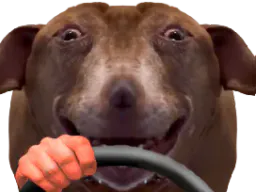 :teddigigataraxvoiture: