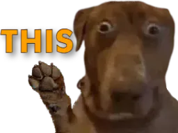 :teddithis: