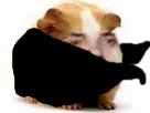 :Hamsterman: