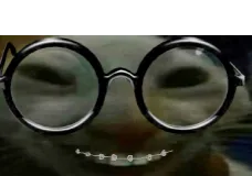 :xddnerd: