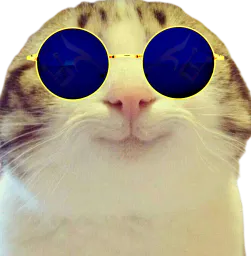 :Chat_marrant_lunette_bleue: