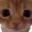 Photo de profil de ghouste