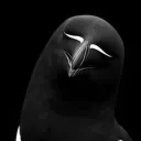 Zerrziel