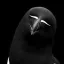 Photo de profil de Zerrziel
