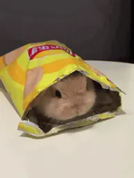 :Bklsloz:
