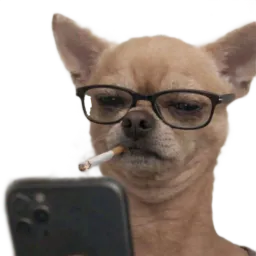 :Seriousdog: