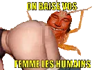 :Punaised_vos_femmes: