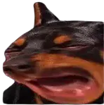 :dobermaya: