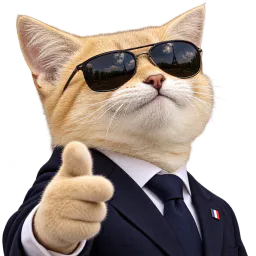 :Chat_desert_Macron:
