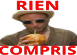 :alk_rien_compris: