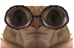 :chat_lunettes_chad: