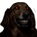 Malaucul