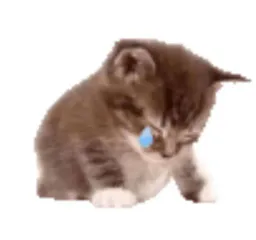 :tristessi: