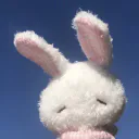 Roc-