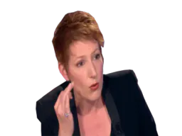 :Polonyexplique_: