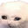 Photo de profil de OtarieEnRut