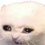 Photo de profil de OtarieEnRut