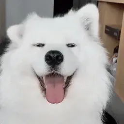 :Dheiebfjdl: