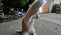 :Chat_violent: