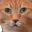 Photo de profil de Florentin