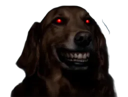 :chien_colgate_halloween: