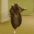 oooooooooooooooo