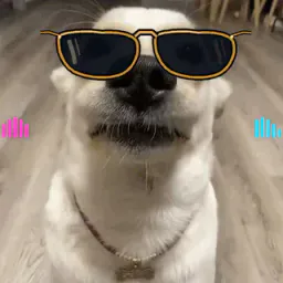 :sjskdkdn: