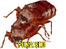:Punaised_putain_: