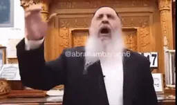 :rabbin_gif: