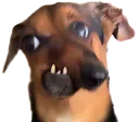 :Jawdog: