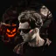 Photo de profil de JohnTitor