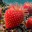 Photo de profil de FraiseDesMers