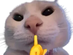 :chut_chut: