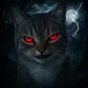 Le_chat_du_fofo
