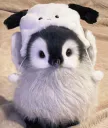:dudidool: