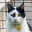 Photo de profil de khey_apraxique