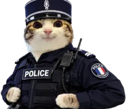 :Chat_marrant_gilbert2: