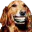 Photo de profil de Malaucul