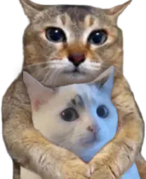 :deux: